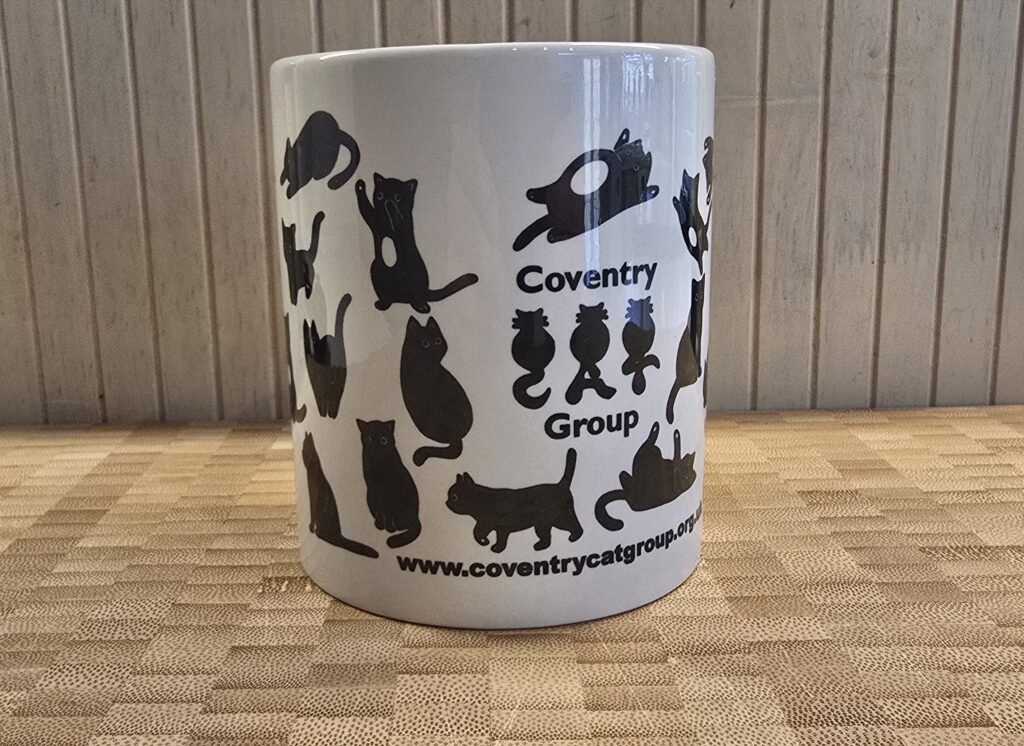 CCG 2026 Mug