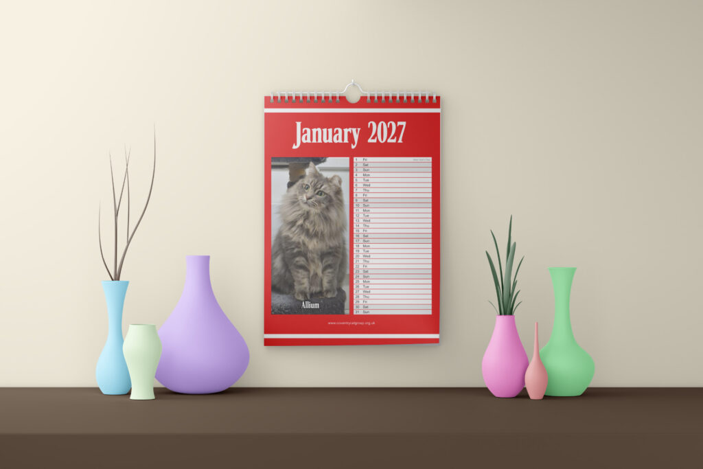 2027 CCG Calendar [PREORDER]
